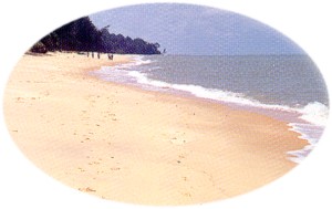 beach.jpg (13663 bytes)