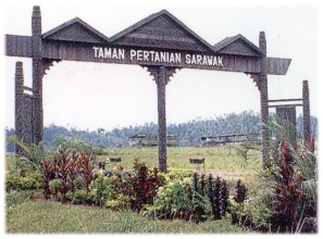Sarawak Agricultural Park
