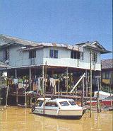 malayh.jpg (8494 bytes)