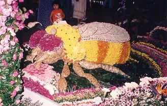 flowerbee.jpg (32429 bytes)