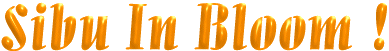 flowerhder.gif (7314 bytes)